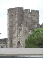 Carcassonne - 43 - Tour Saint Nazaire (6).jpg