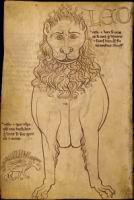 Folio 48 - Lion et porc-epic